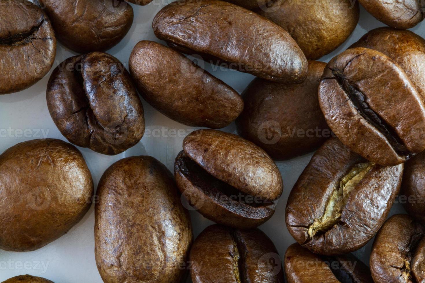 vista dall'alto macro di chicchi di caffè su un piatto tazza di caffè bianco foto