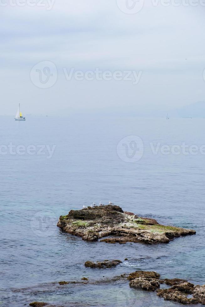 Gabbiani che si siedono sulla roccia nell'acqua blu del mare in una giornata nebbiosa con la barca a vela in lontananza immagine verticale copia spazio vacanza vacanza concetto di libertà foto