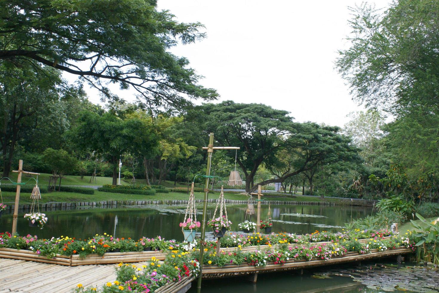 ponte di bambù con fiore in giardino foto