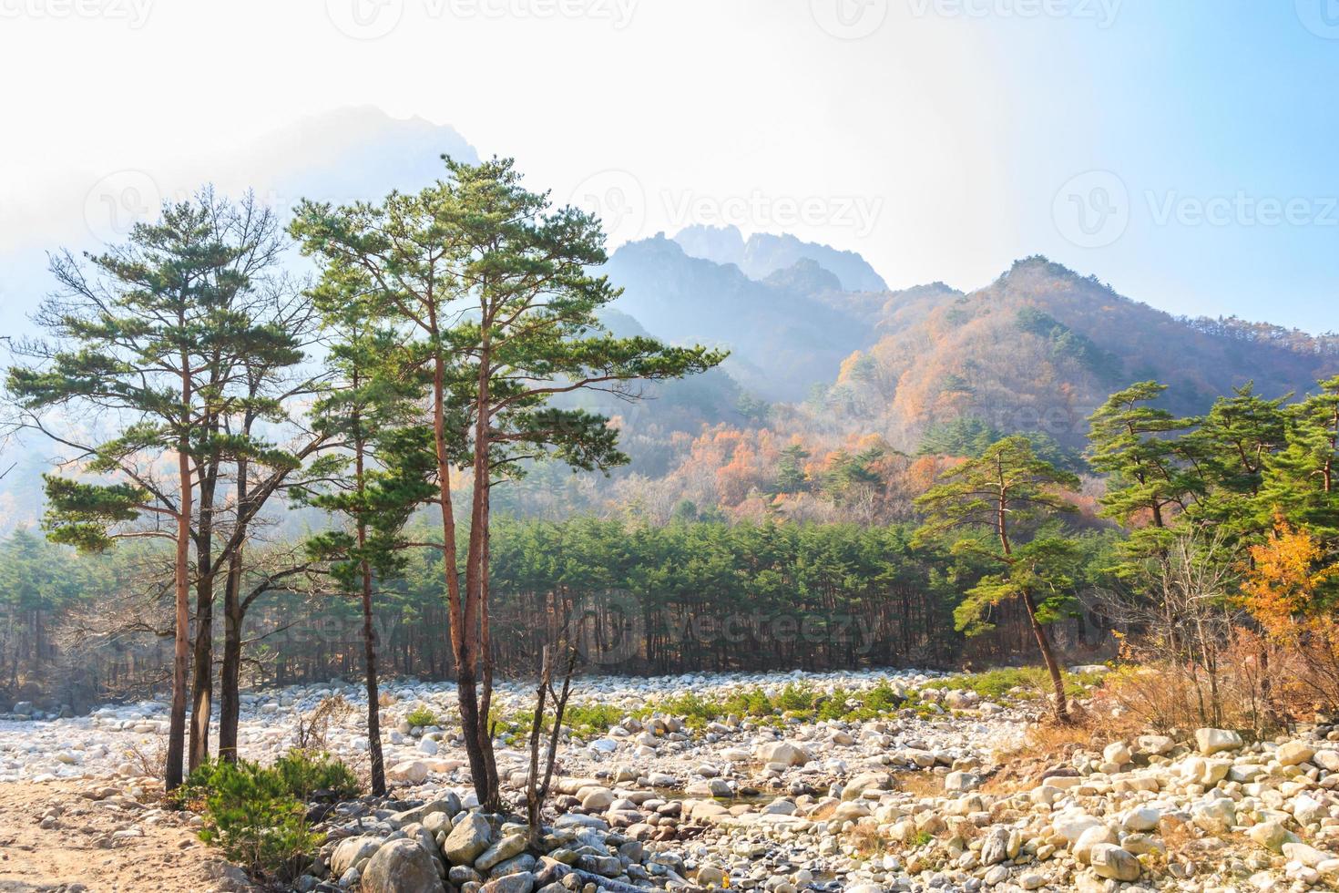 alberi colorati al parco nazionale di seoraksan in autunno corea foto