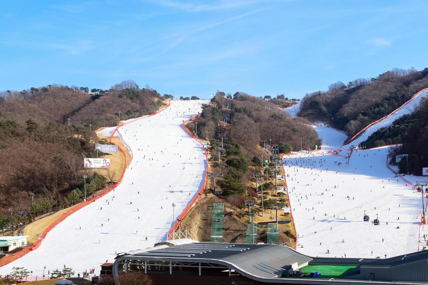 gangwon-do, corea, 4 gennaio 2016 - persone che sciano al parco daemyung vivaldi foto