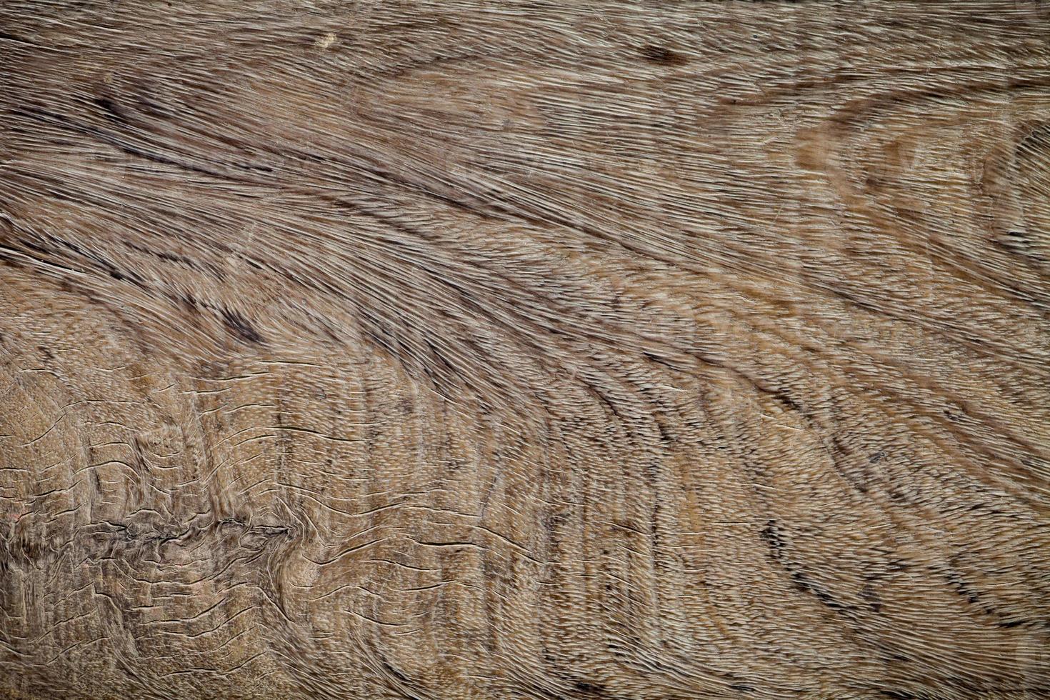 trama di corteccia di legno utilizzata come sfondo naturale foto