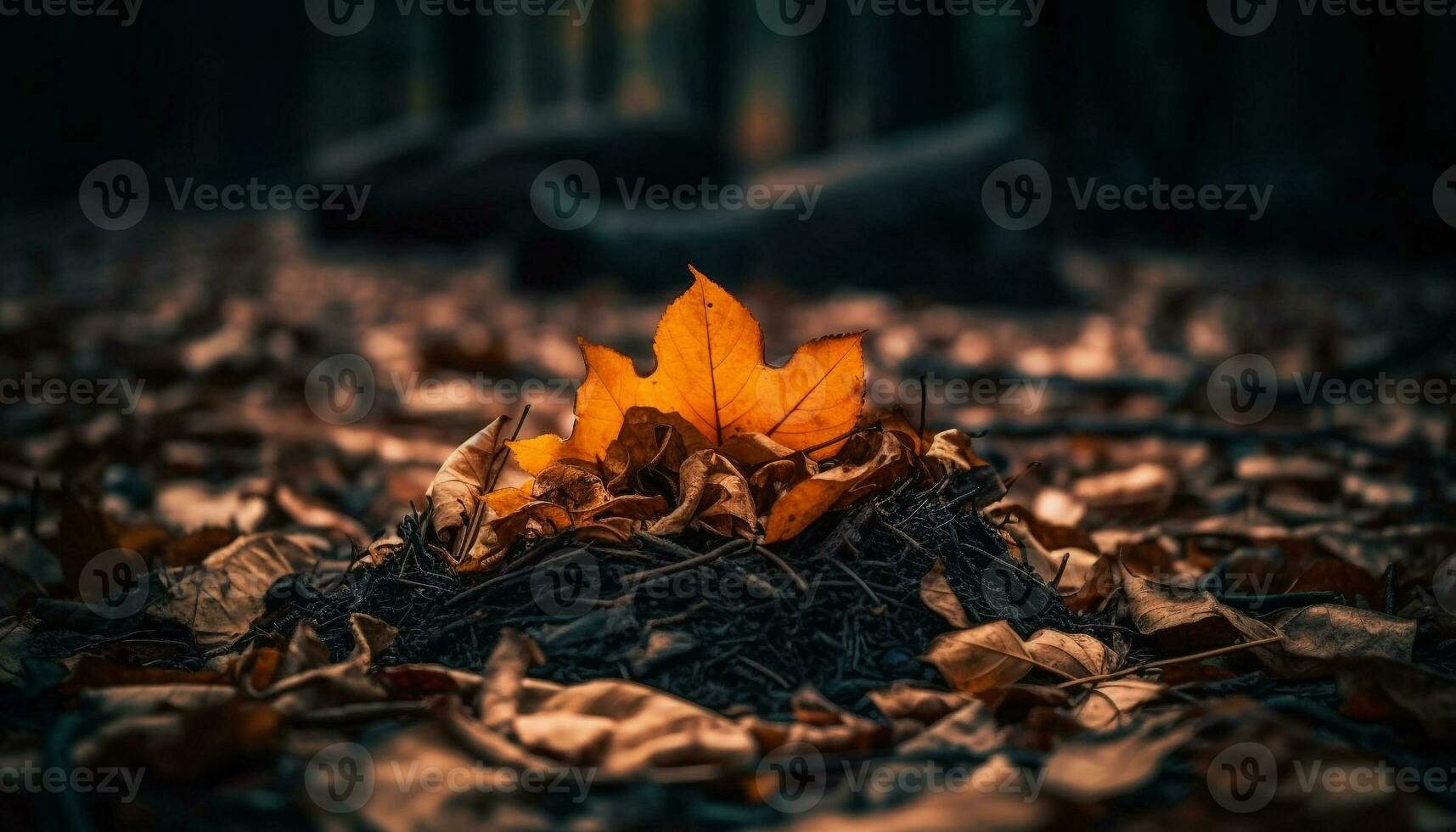 vivace acero le foglie cadente, un' ardente autunno paesaggio nel novembre generato di ai foto