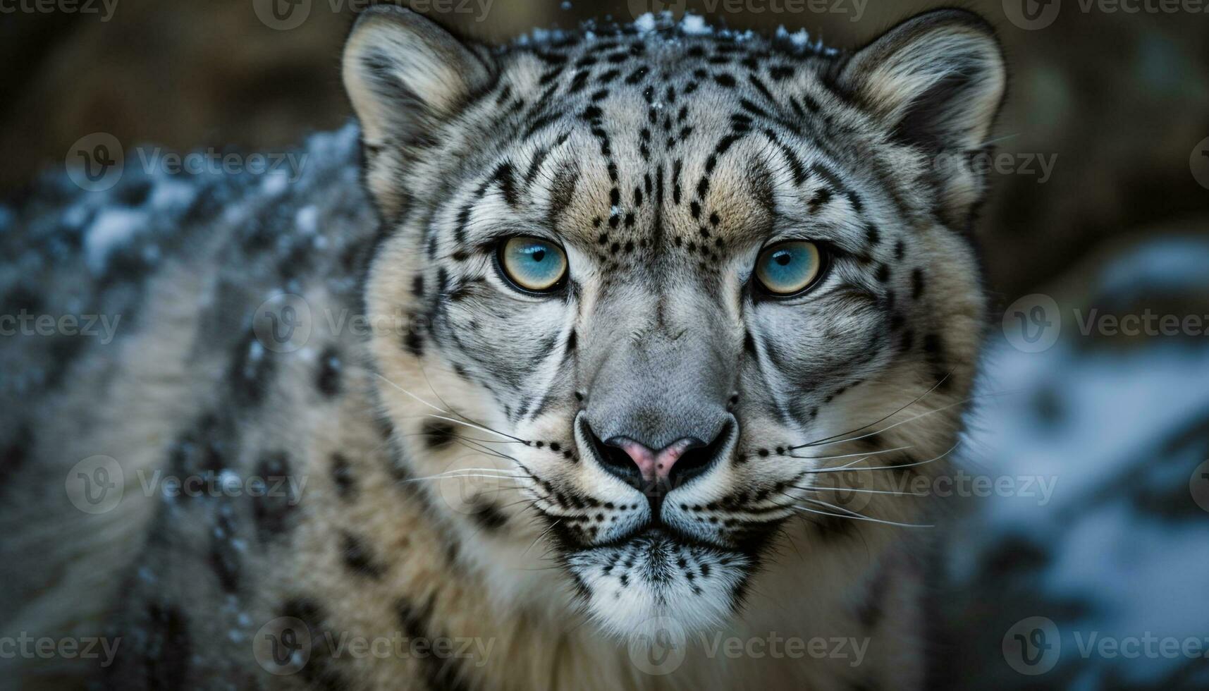 in via di estinzione neve leopardo fissa, maestoso bellezza nel natura natura selvaggia generato di ai foto