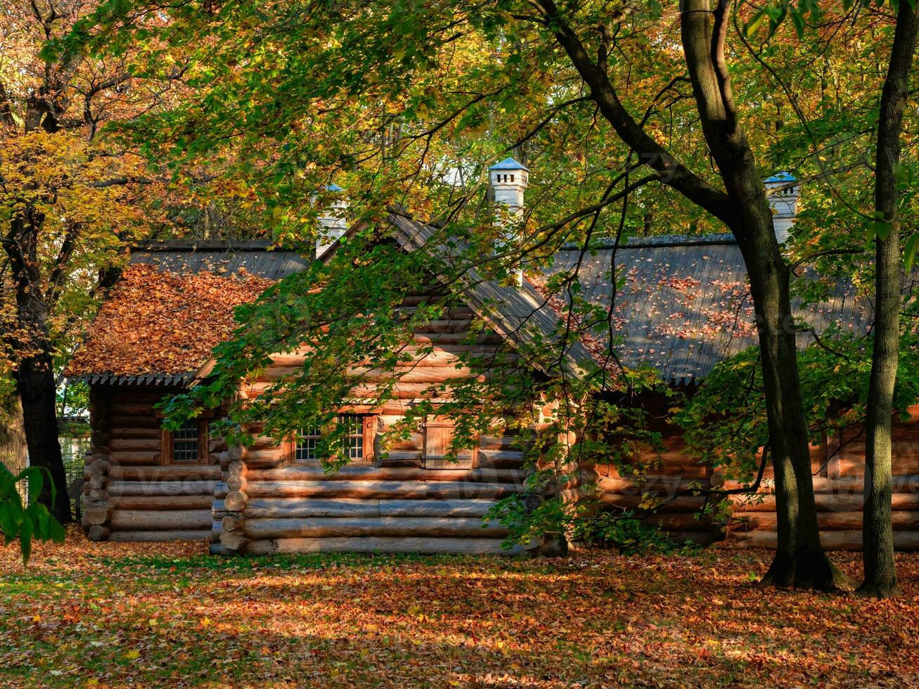 un' accogliente di legno log cabina nel il autunno foresta. foto