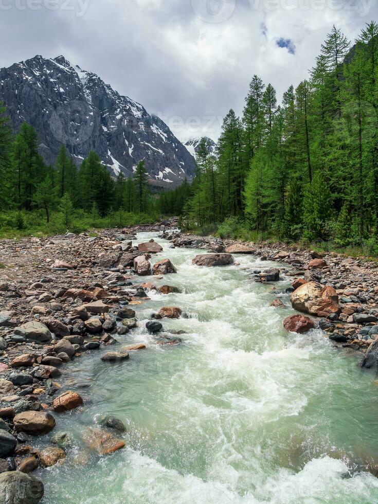 tempestoso montagna fiume flusso attraverso foresta. bellissimo alpino paesaggio con azzurro acqua nel veloce fiume. energia maestoso natura di altopiani. verticale Visualizza. foto