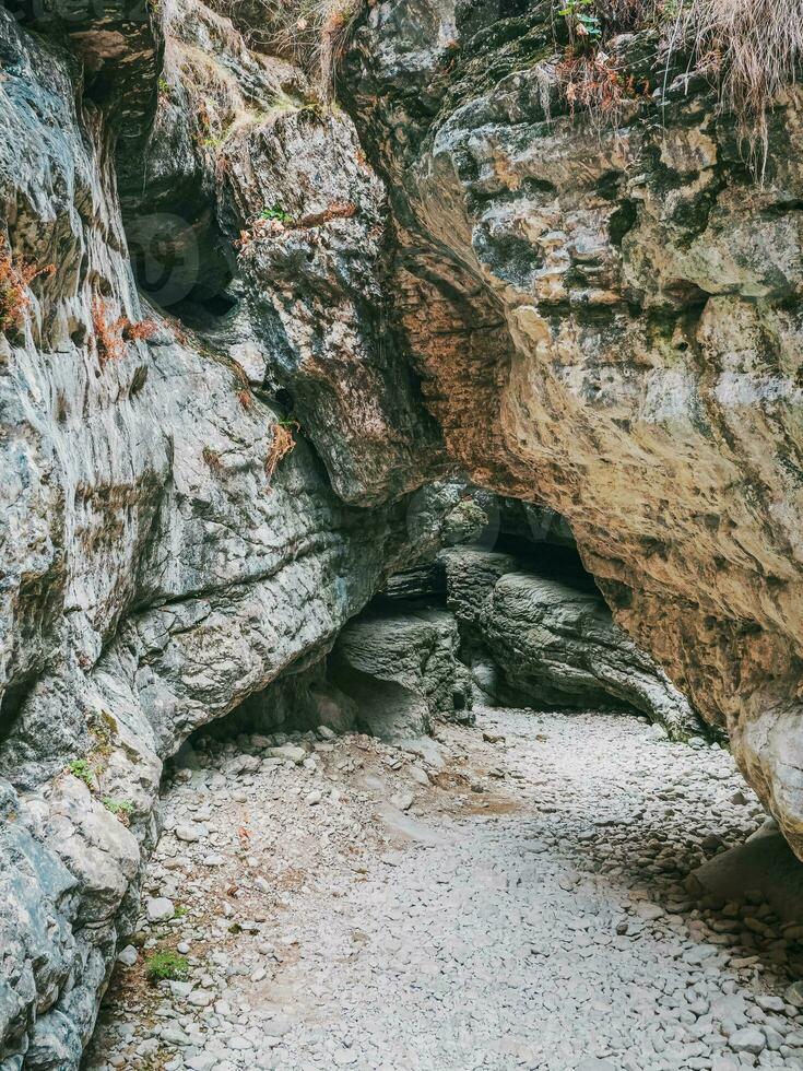 interessante rocce formatura un' stretto passaggio nel il saltinskij gola. un' unico natura Riserva nel daghestan. gola nel montagne paesaggio natura su Russia. foto