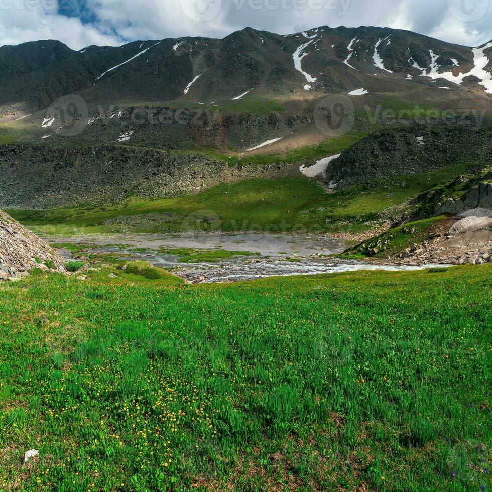 verde chiaro prato di il altopiani. intatto natura, eco-friendly paesaggio. estate piazza sfondo di il alpino altopiani. foto