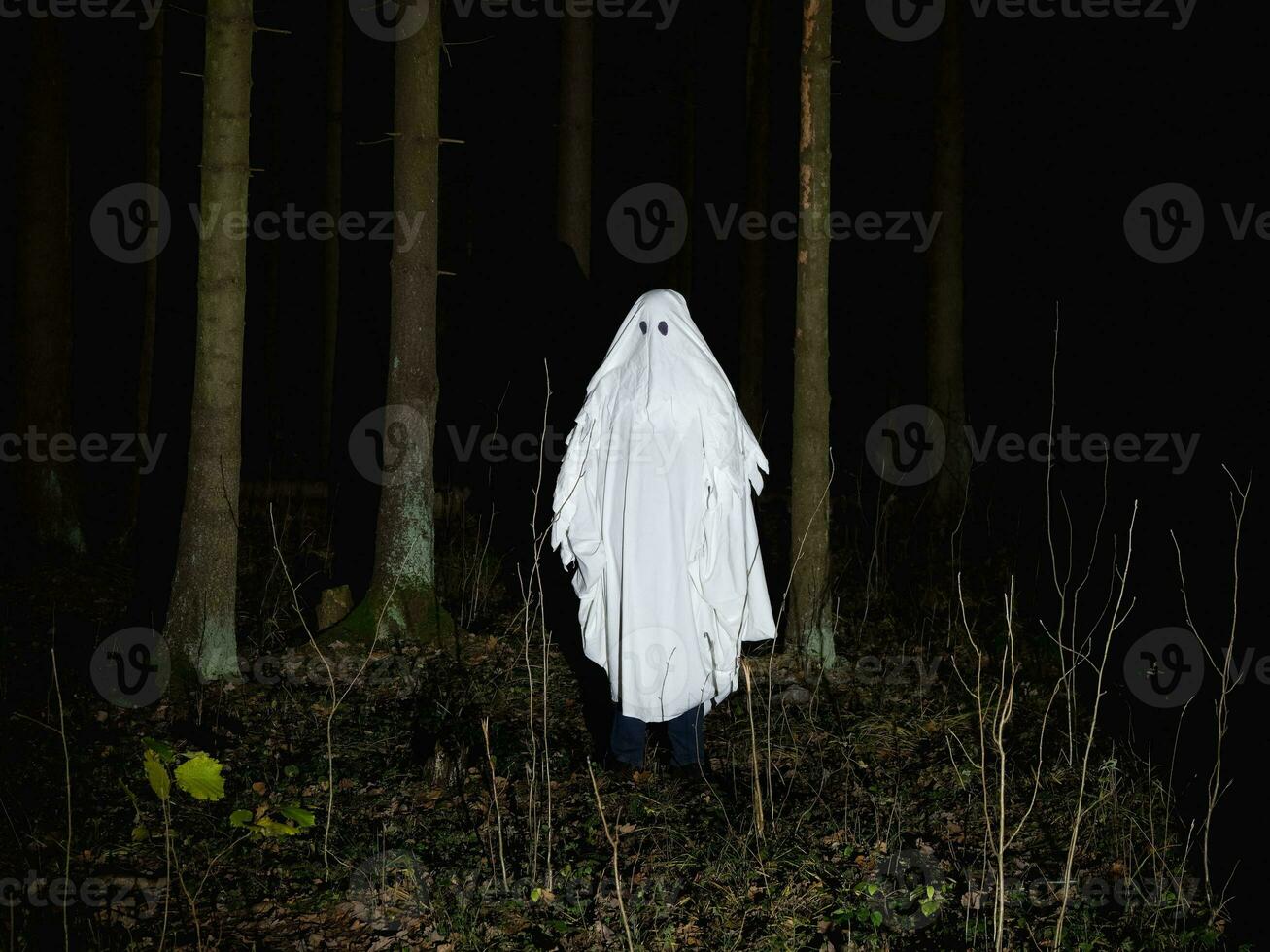 divertente fantasma nel un' buio foresta. buio fantasia concetto . di un' misterioso bianca fantasma nel un' spaventoso foresta. foto