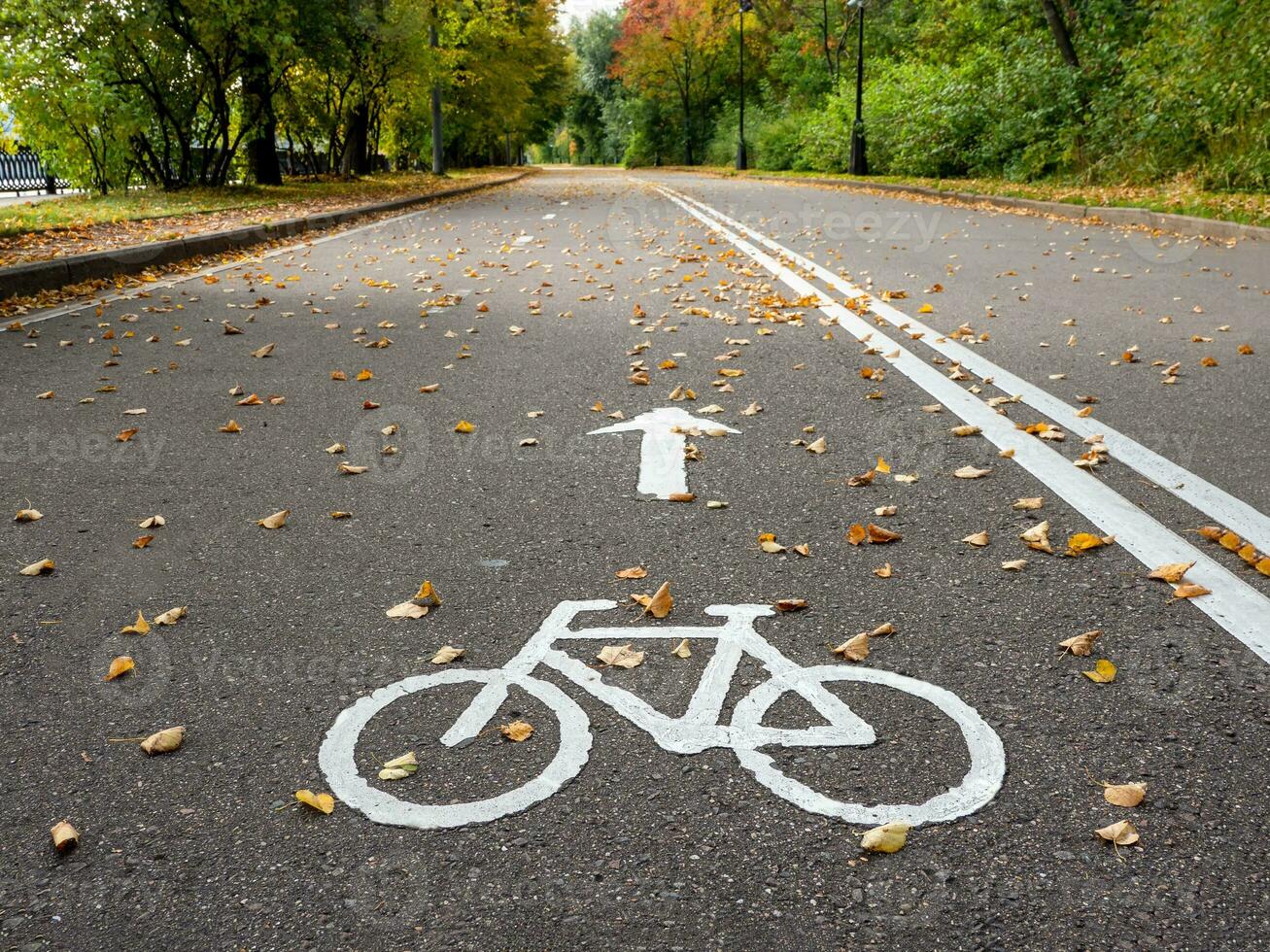 bicicletta sentiero nel autunno. marcatura su il asfalto. foto
