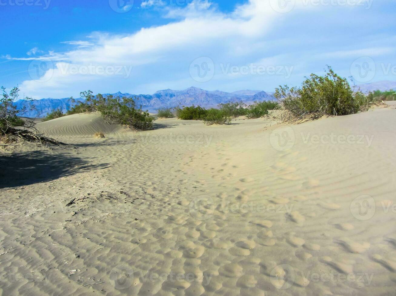 deserto paesaggio di Oregon foto