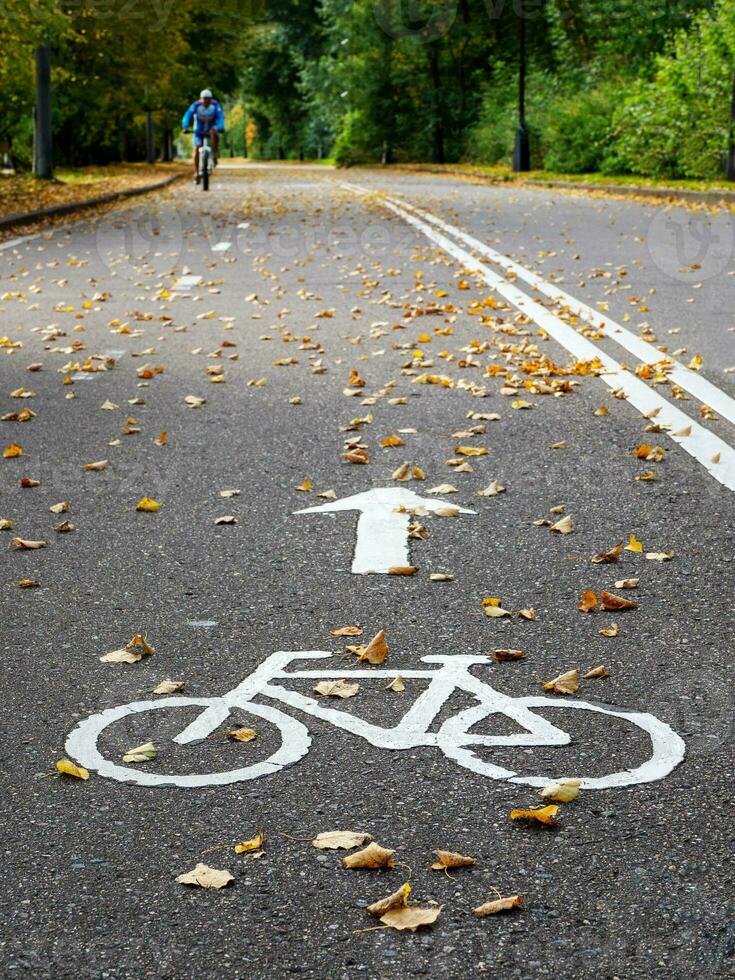bicicletta sentiero nel autunno. marcatura su il asfalto. foto
