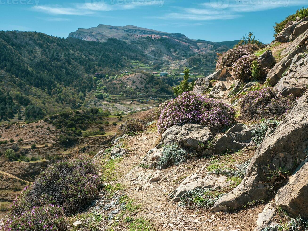 escursioni a piedi montagna pista lungo il pendenza andando in il distanza. foto