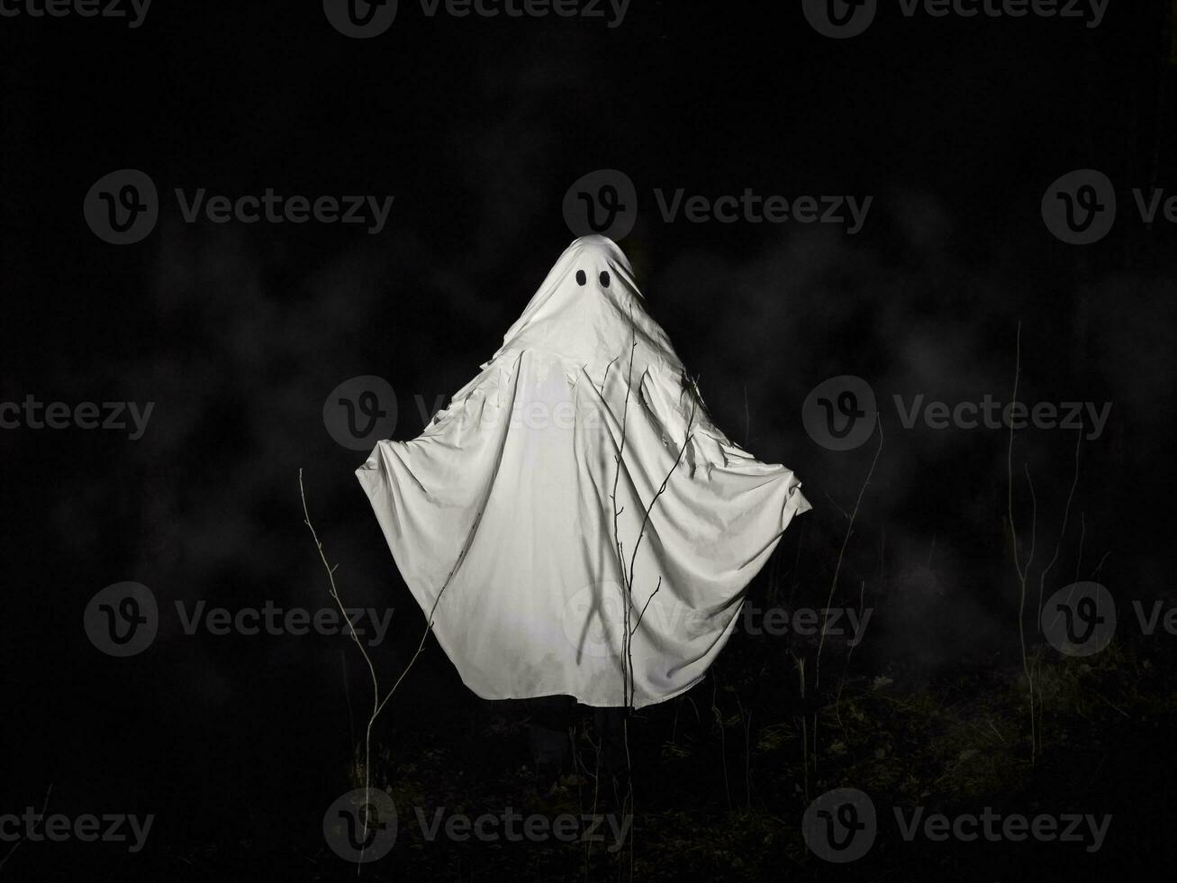 divertente bianca fantasma nel un' buio nebbioso foresta. buio fantasia concetto. di un' misterioso bianca fantasma nel un' spaventoso foresta. foto