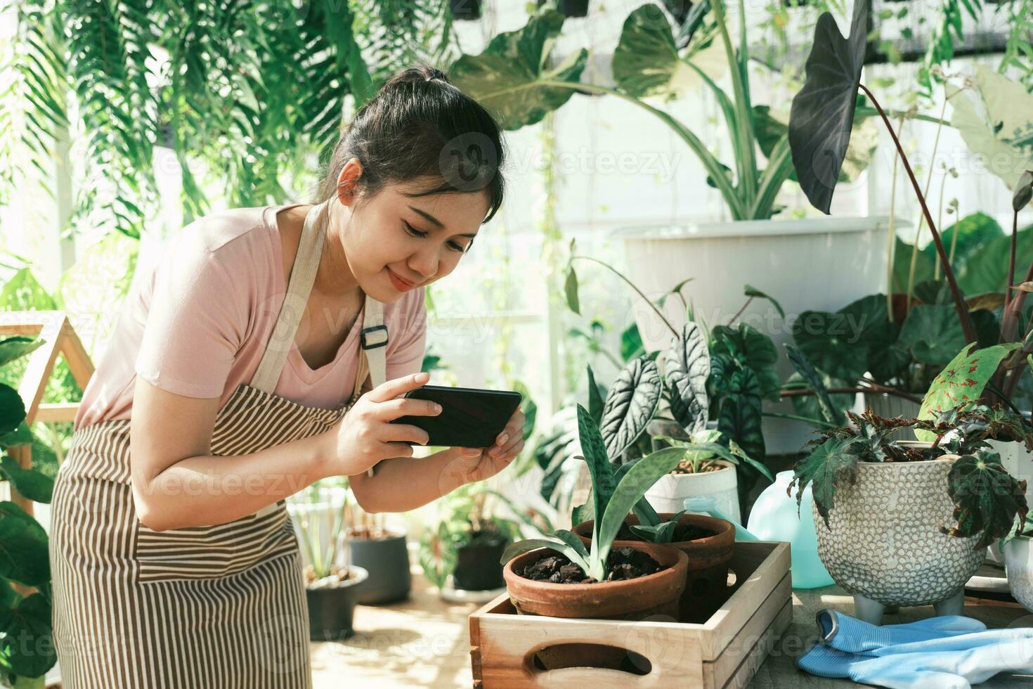 sorridente giovane donna assunzione smartphone immagine di pianta nel un' piccolo negozio foto