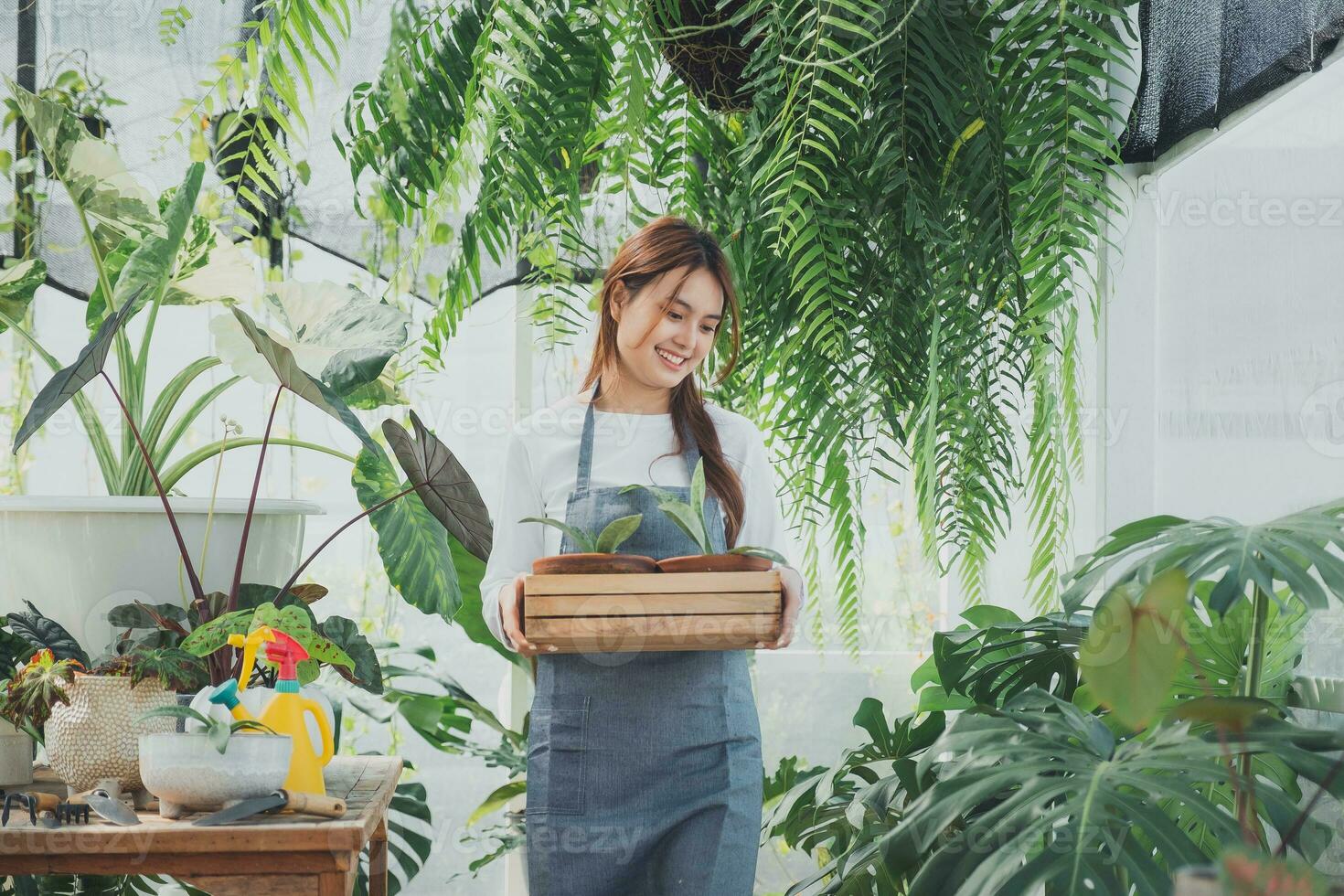 casa giardinaggio, amore di impianti e cura. piccolo attività commerciale. foto