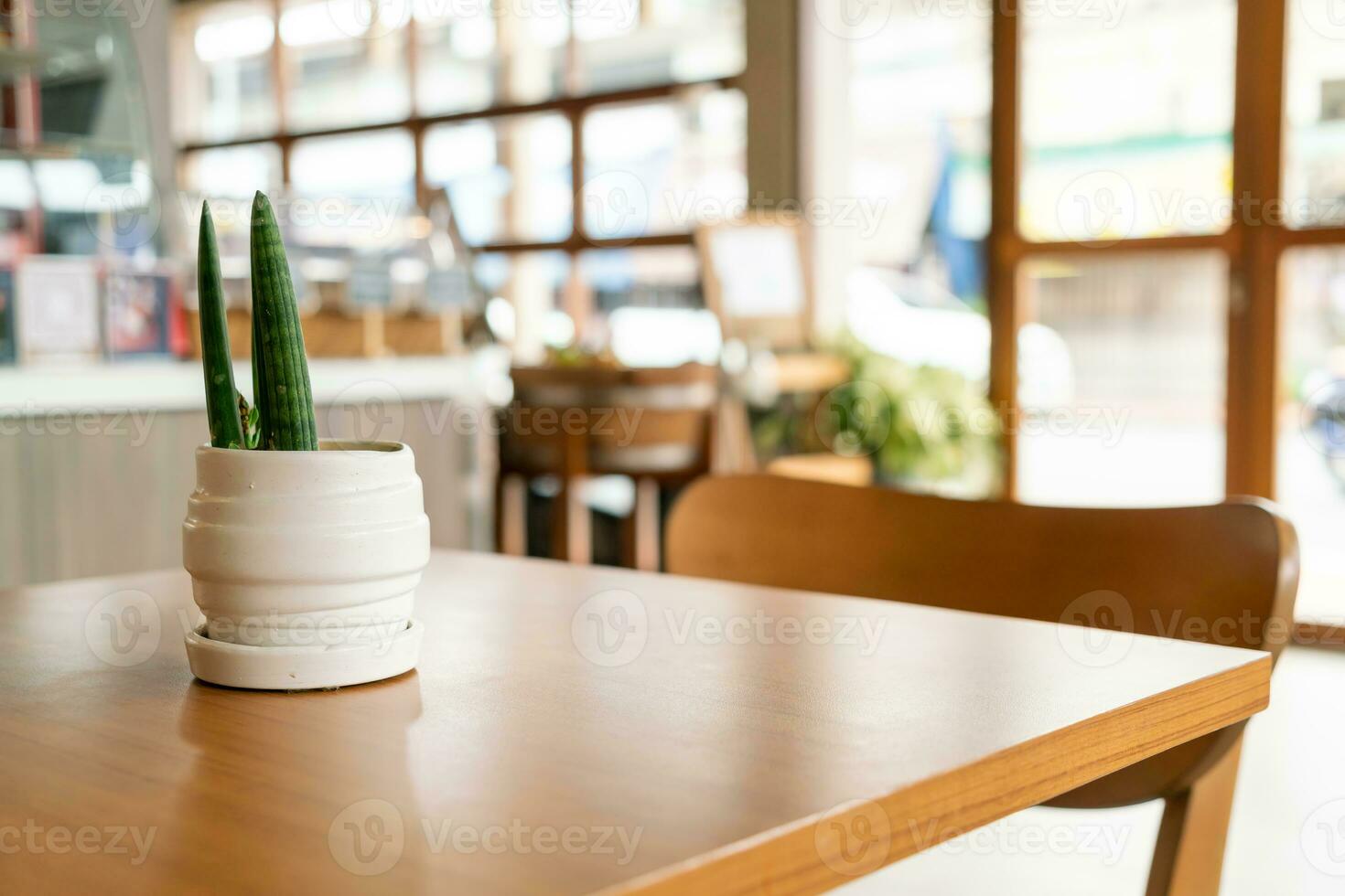 pianta in vaso decorazione sul tavolo foto