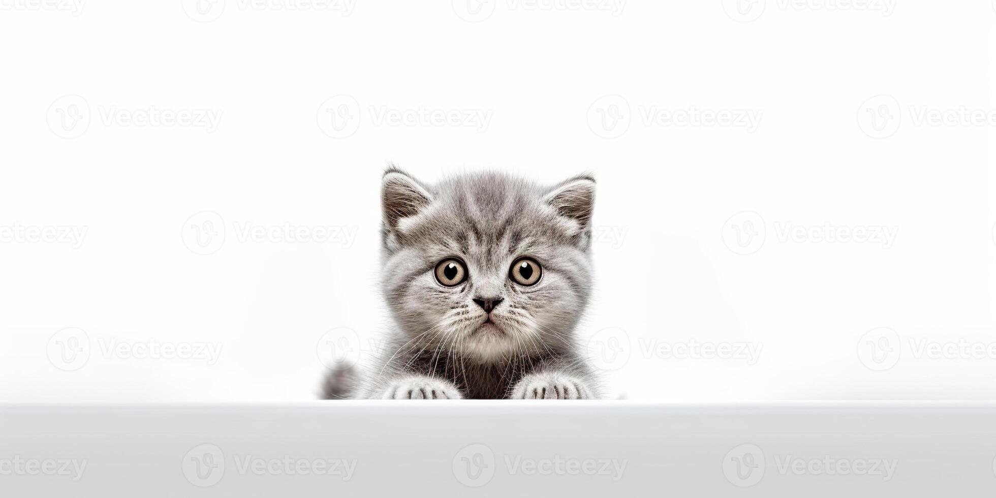 ai generato. ai generativo. foto realistico illustrazione di Britannico blu grigio gatto viso animale animale domestico. grafico arte illustrazione