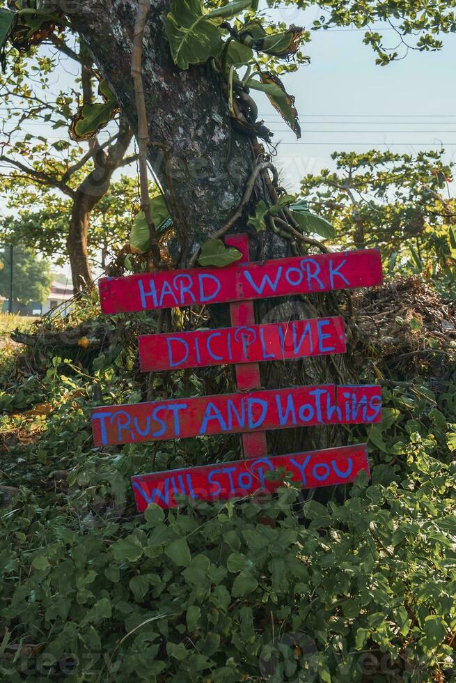 motivazionale Messaggio scritto su di legno tavola accanto albero tronco nel foresta foto
