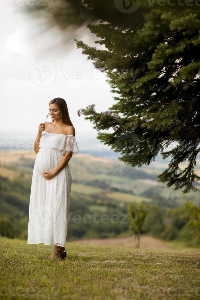 giovane donna incinta nella foresta foto