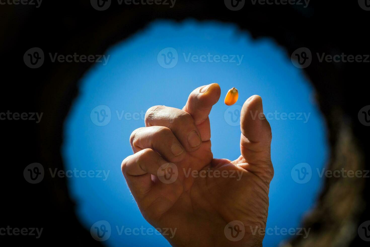 il laborioso mano quello coltiva il giardino visto a partire dal il dentro di il terra foto