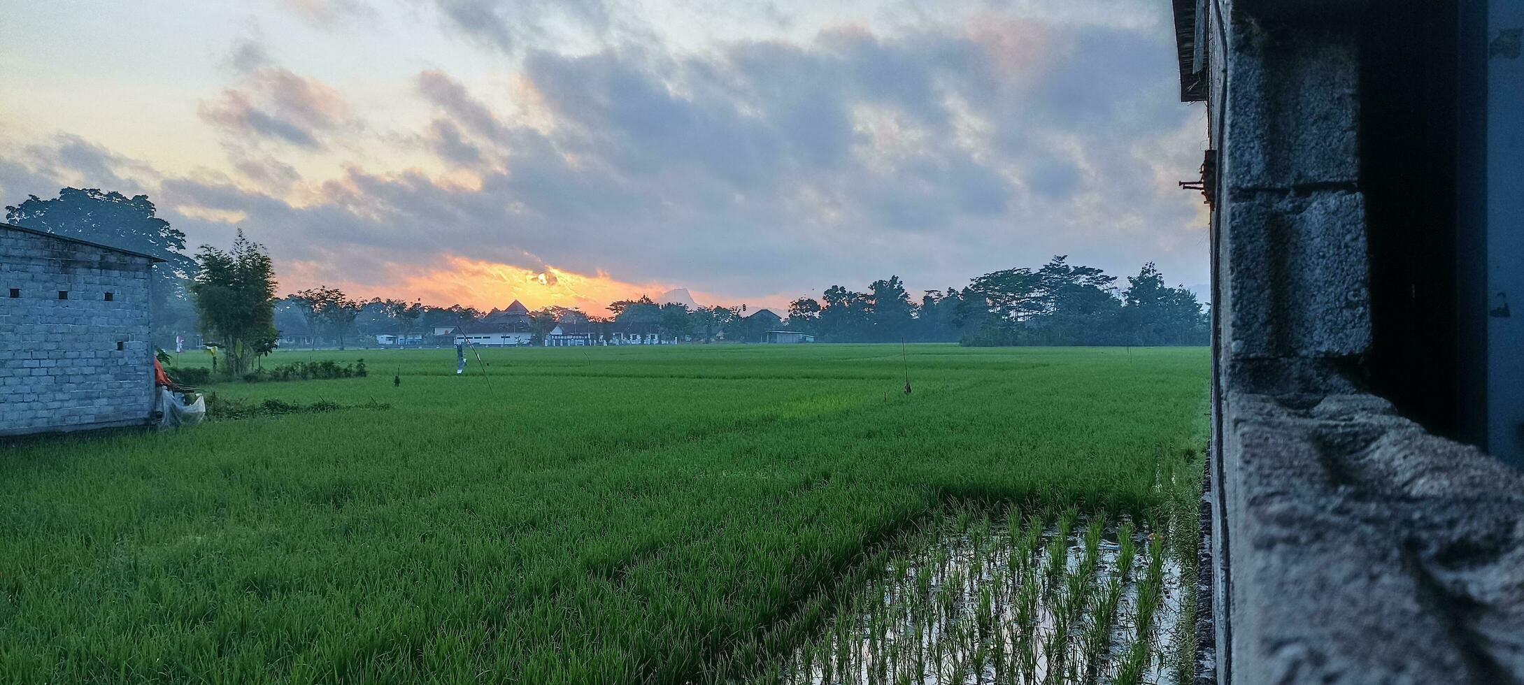 il mattina sole volontà salire foto