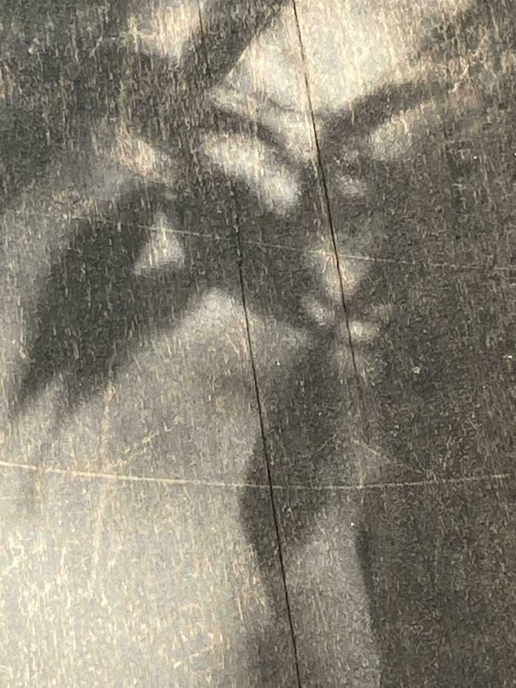 le foglie ombra sfondo su di legno parete struttura, le foglie albero rami ombra con luce del sole foto