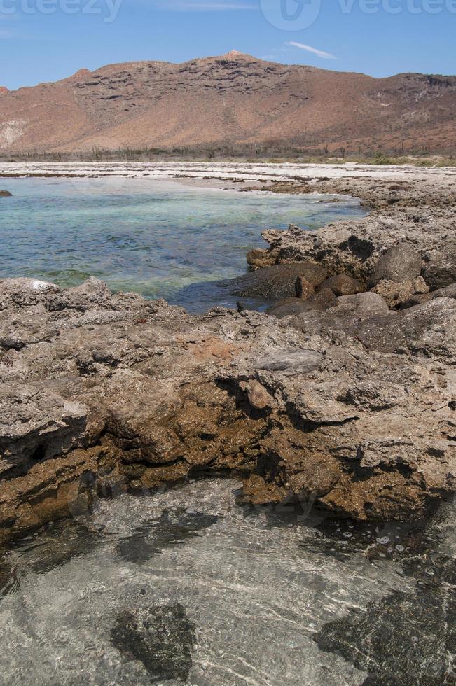 archipielago isla espiritu santo a la paz, baja california foto