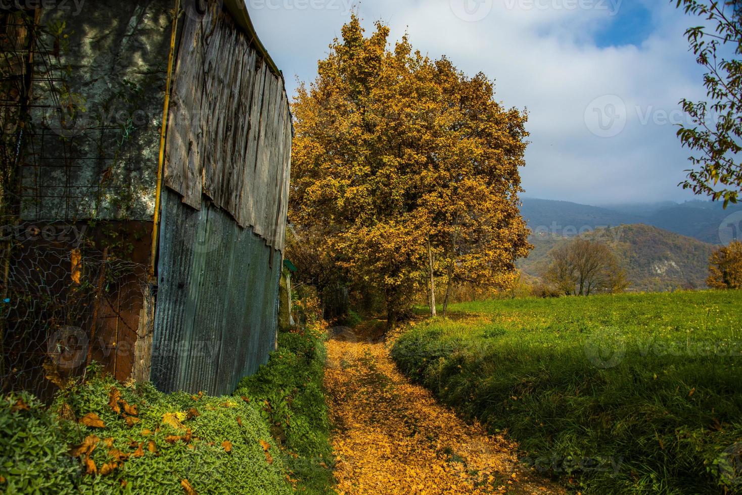 autunno in campagna foto