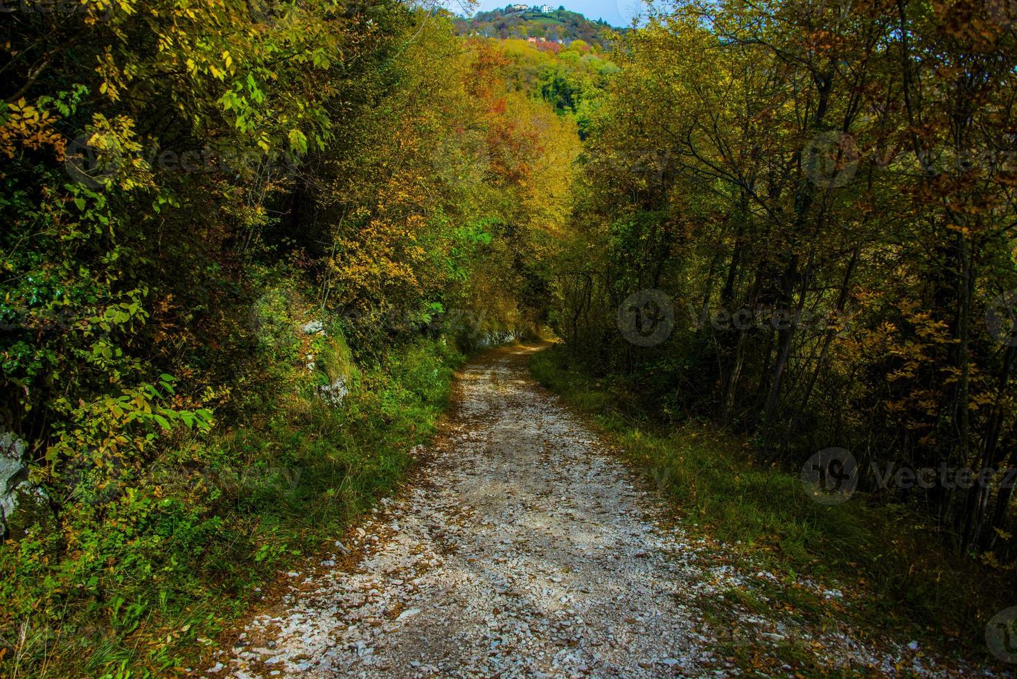 strada di campagna in autunno foto