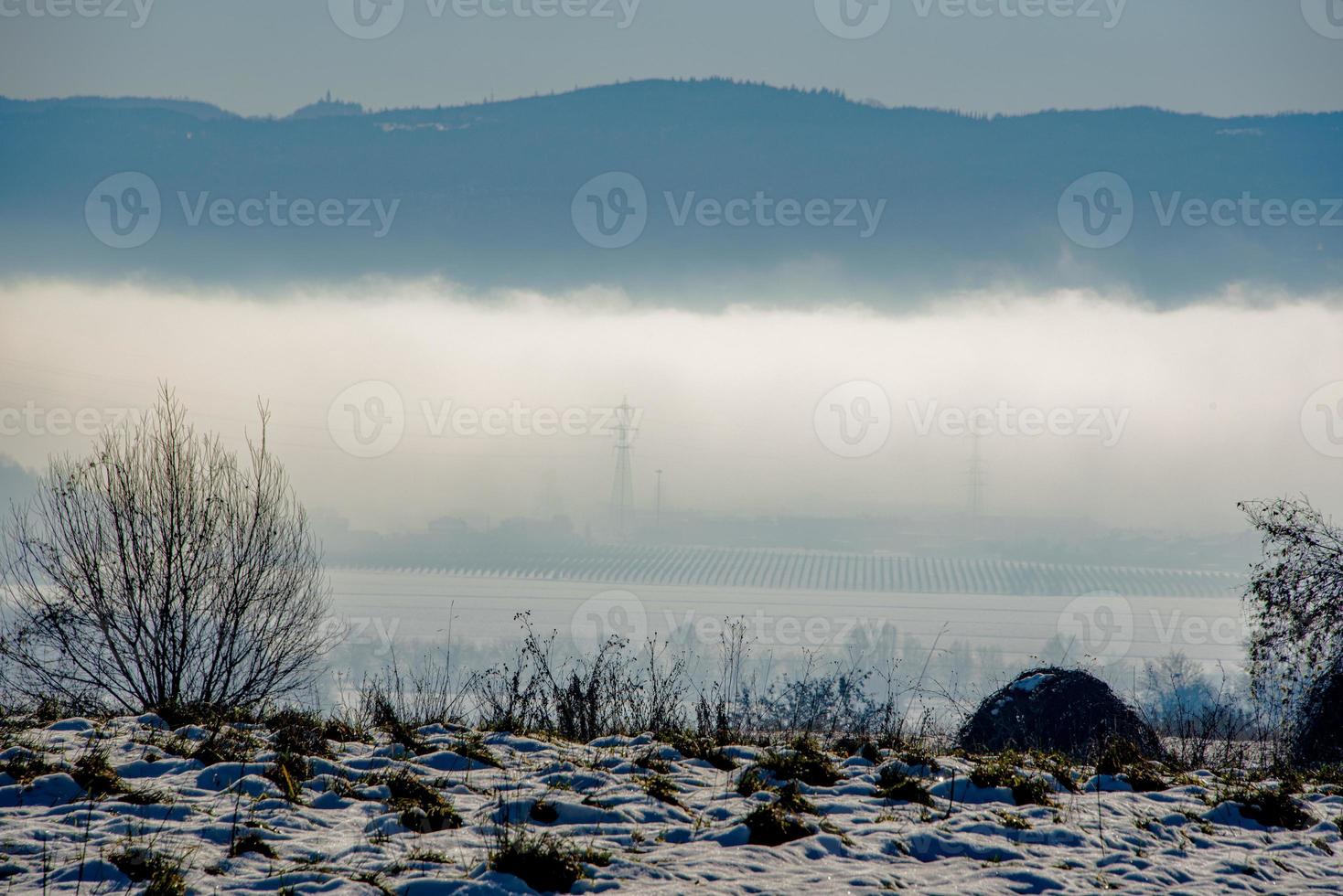 pianura e nebbia nella neve foto