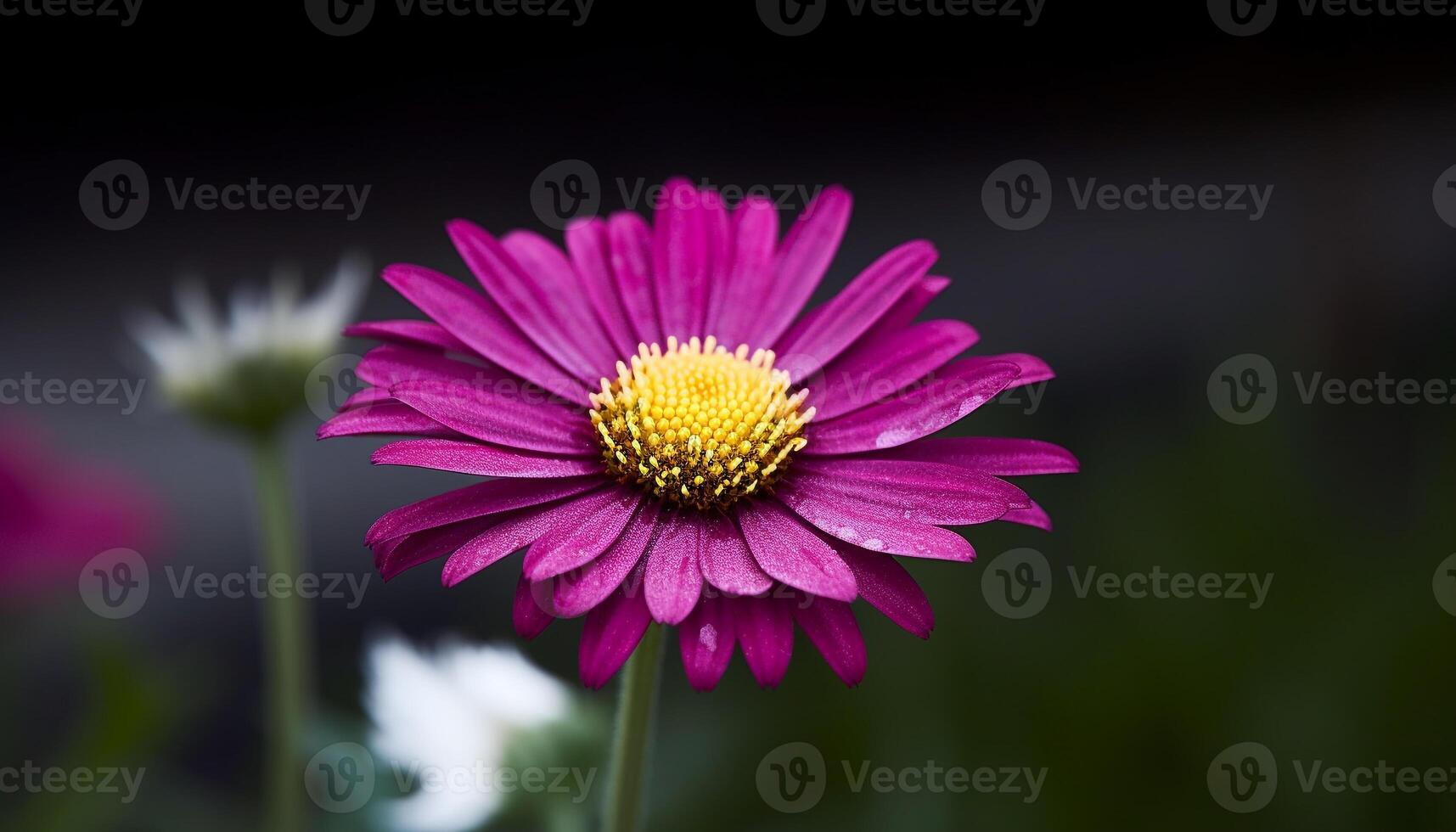 vivace camomilla pianta fiori nel incolto prato, no persone presente generato di ai foto