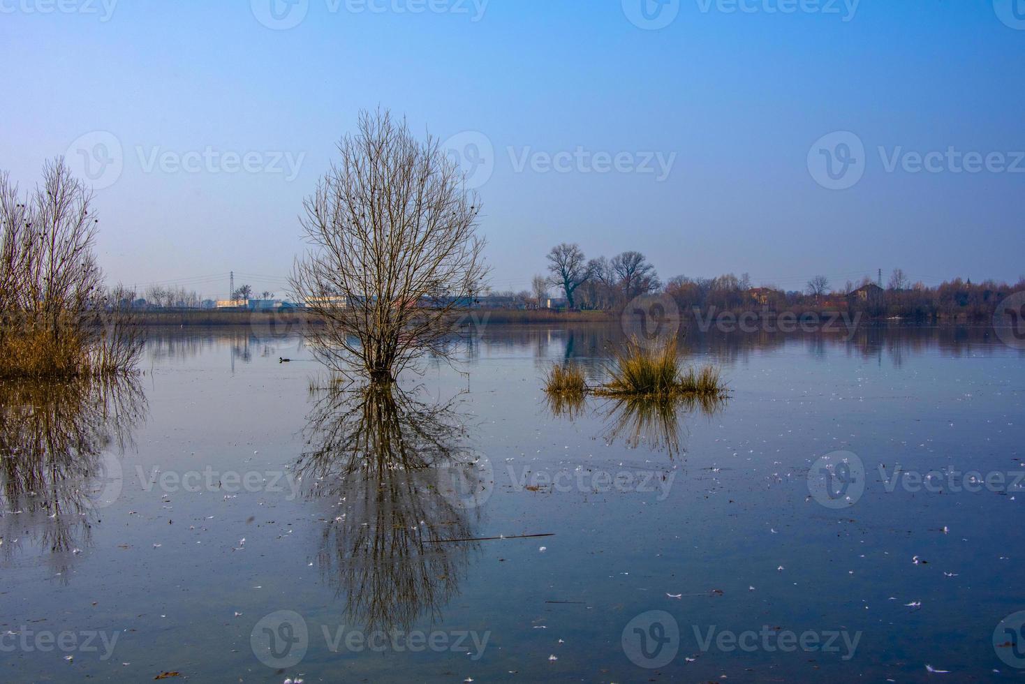 placidi riflessi tristi due foto