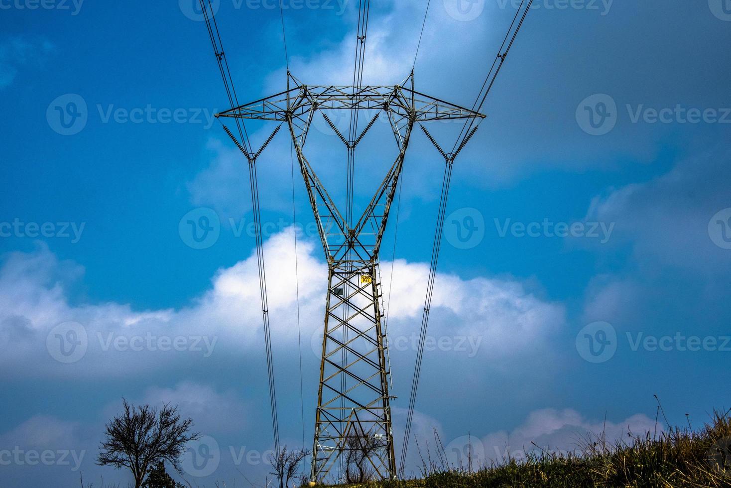 20210313 pilone alta tensione e albero foto