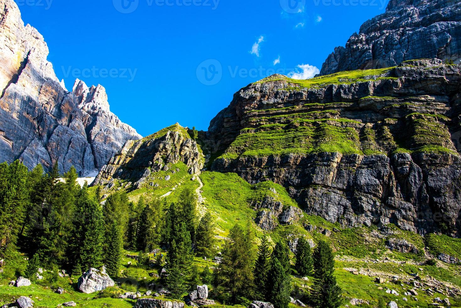 foreste e dolomiti foto