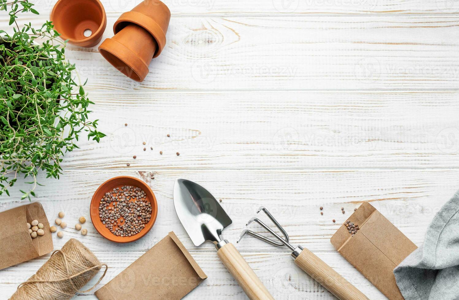 giardinaggio concetto, piantare a casa foto