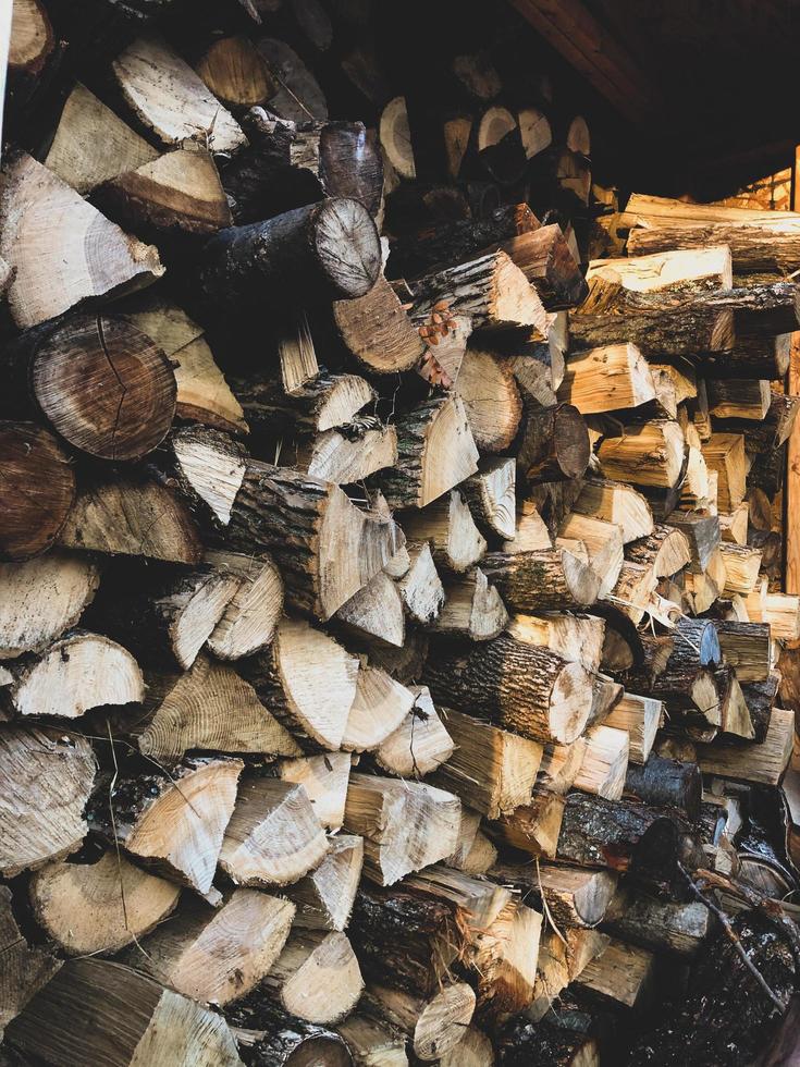 tronchi di legno marroni e bianchi foto