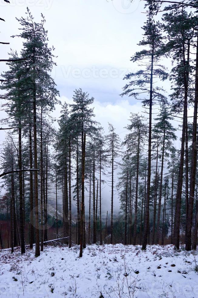 neve in montagna nella stagione invernale foto