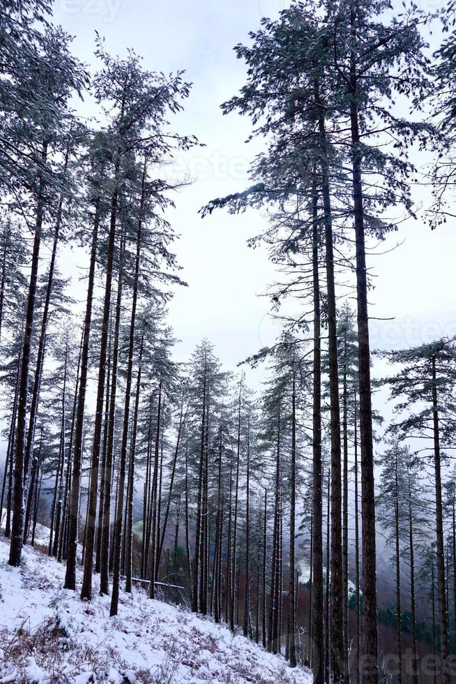 neve in montagna nella stagione invernale foto