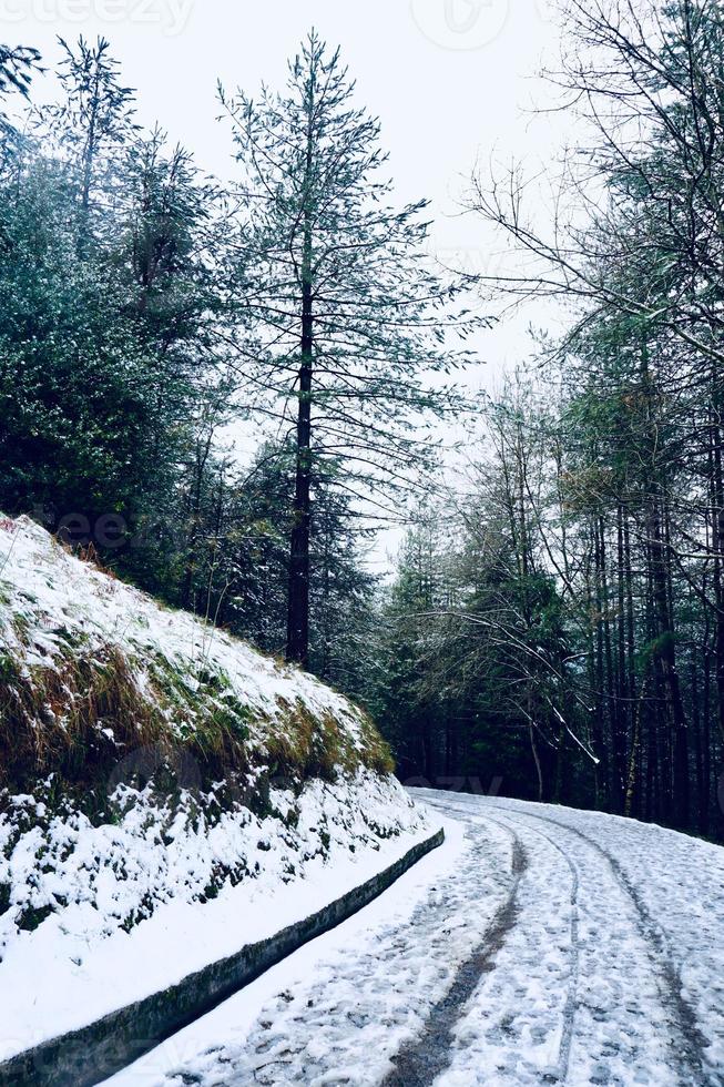 neve in montagna nella stagione invernale foto