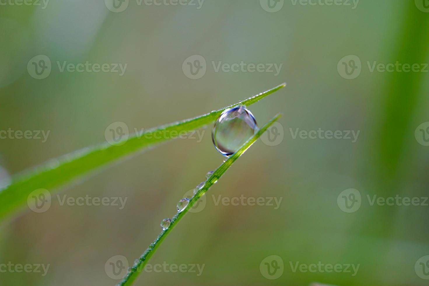 cadere sull'erba verde nei giorni di pioggia foto