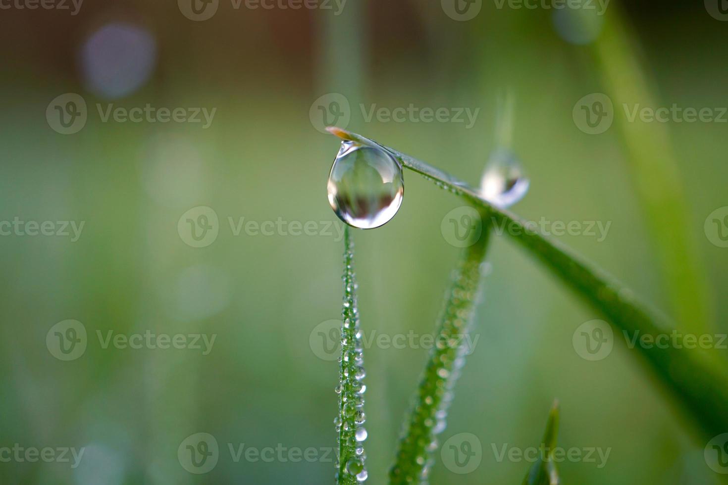 cadere sull'erba verde nei giorni di pioggia foto