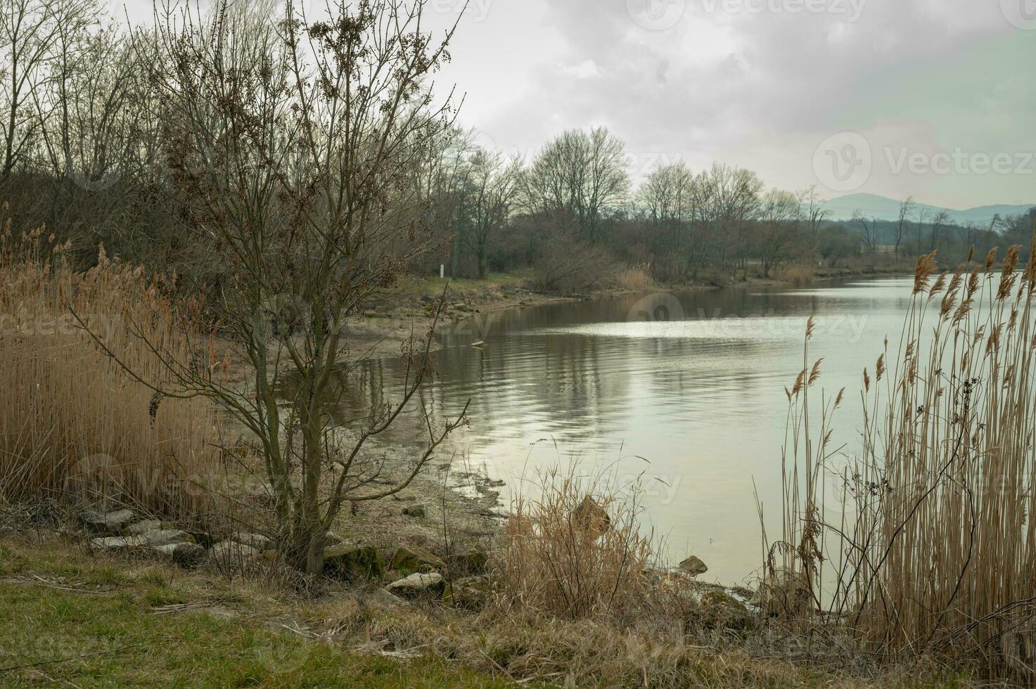 piccolo acqua cumulo di rifiuti foto