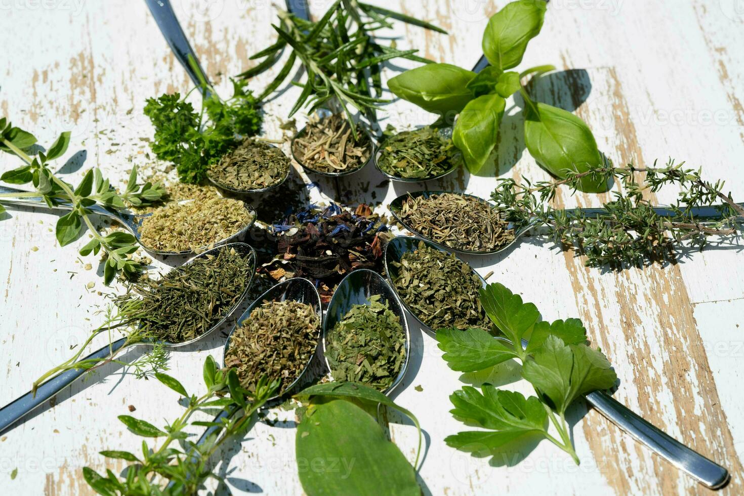 fresco e secco erbe aromatiche e spezie a partire dal tutti al di sopra di il mondo foto