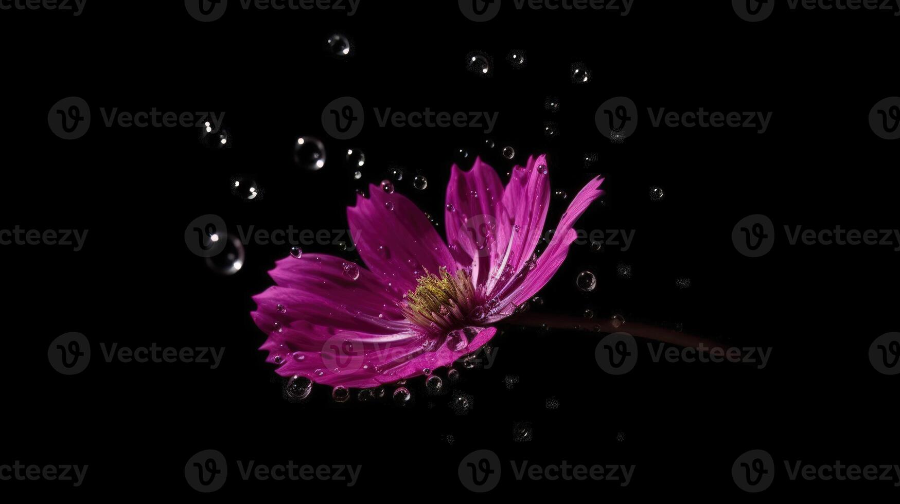 vicino su di viola fiore con gocce di acqua. generativo ai foto