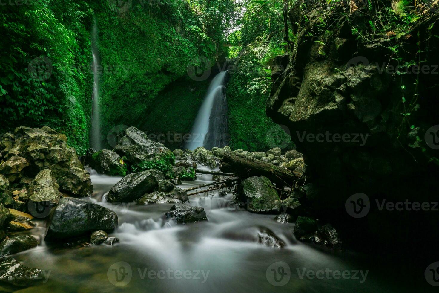 bellissimo mattina Visualizza Indonesia panorama paesaggio risaia i campi con bellezza foto