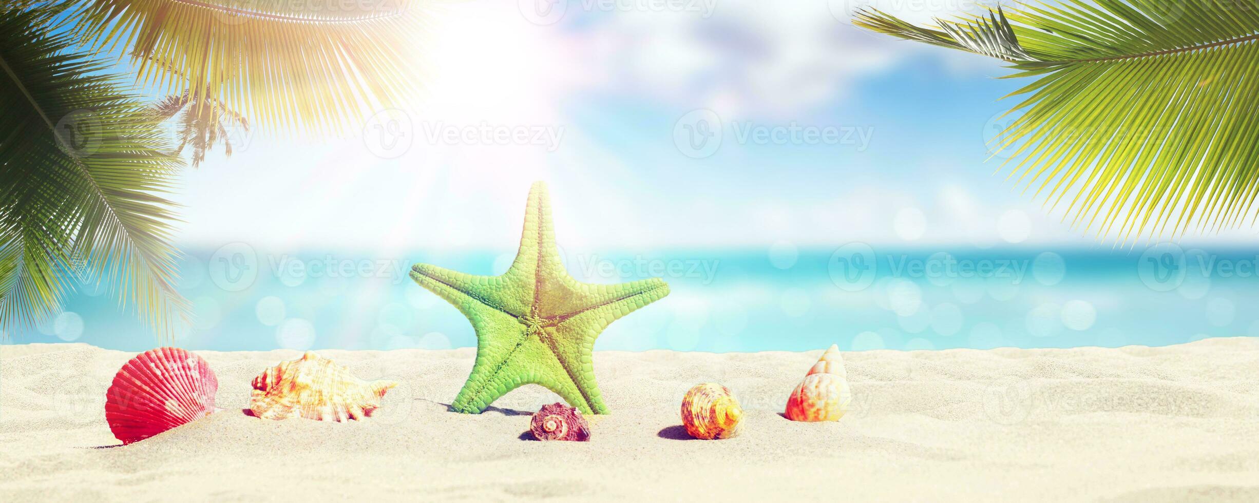 stelle marine e conchiglie sulla spiaggia soleggiata. sfondo di vacanze estive foto