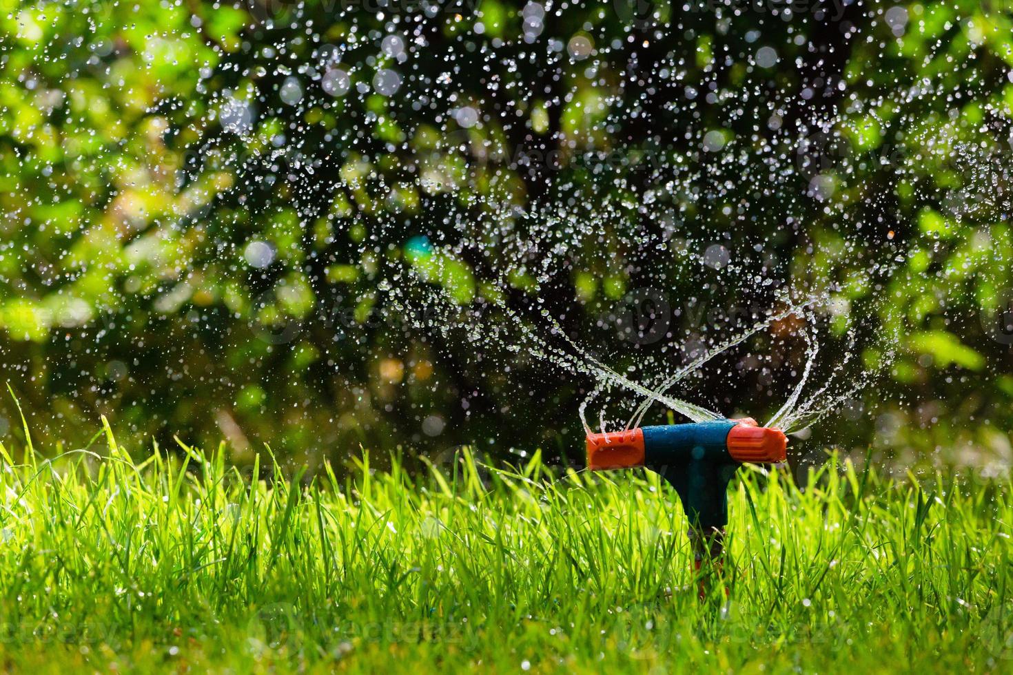 irrigatore rotante da giardino irrigazione erba foto