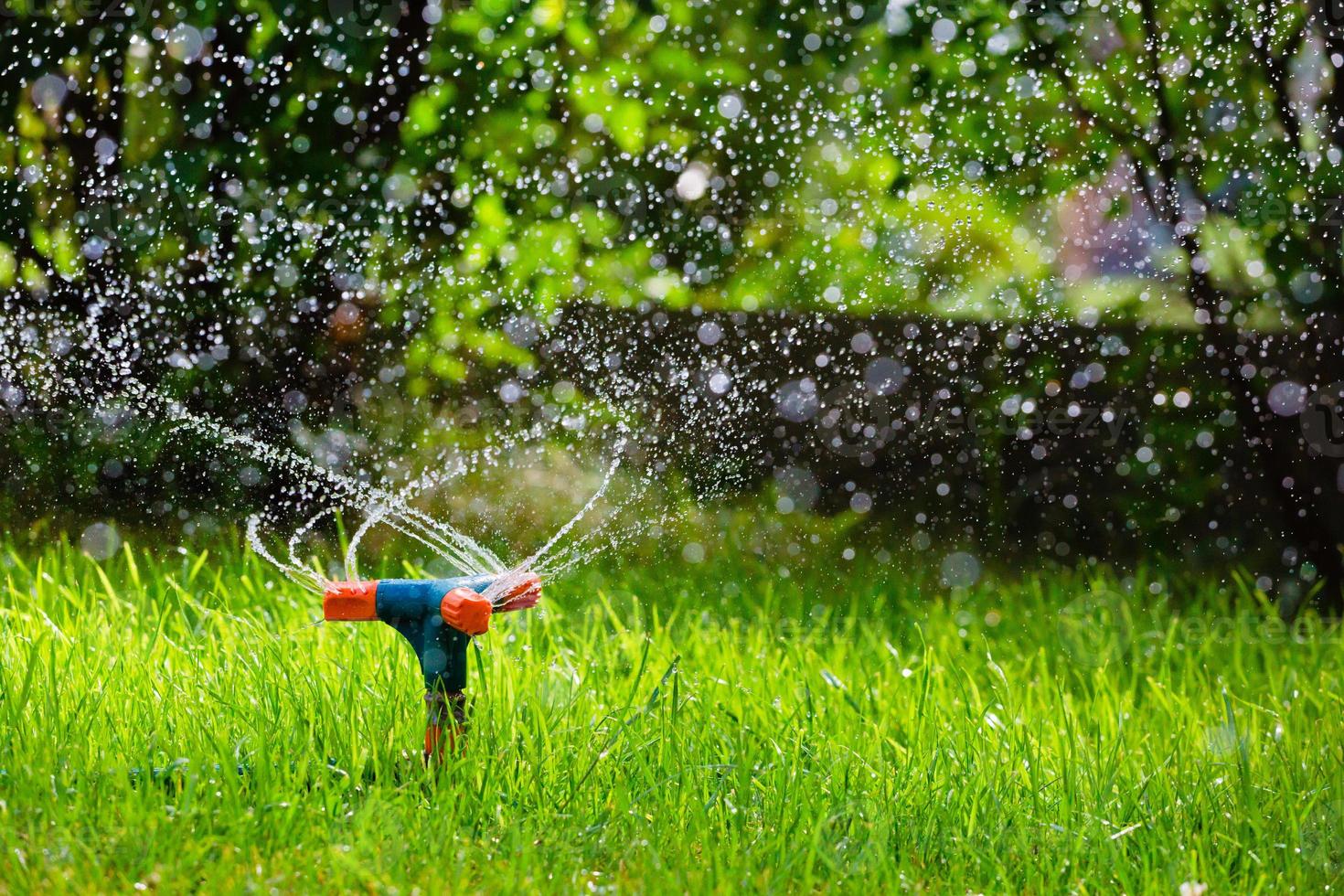 irrigatore rotante da giardino irrigazione erba foto