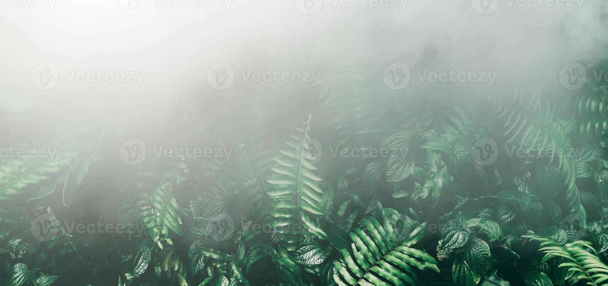 giardino verticale con foglia verde tropicale con nebbia e pioggia tono scuro foto